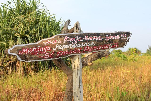 Pari Solata Seaview Homestay Syariah Kepulauan Seribu Екстер'єр фото