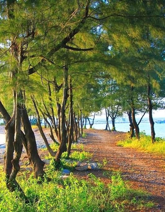 Pari Solata Seaview Homestay Syariah Kepulauan Seribu Екстер'єр фото