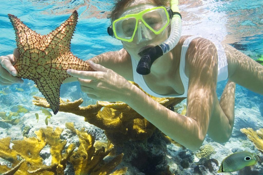 Pari Solata Seaview Homestay Syariah Kepulauan Seribu Екстер'єр фото